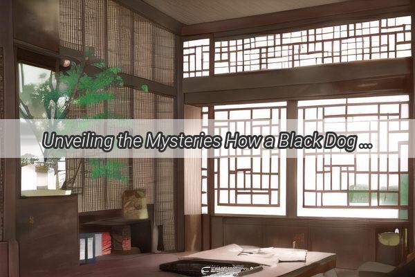 Unveiling the Mysteries How a Black Dog Can Bring Down the Very Foundations of Your Feng Shui